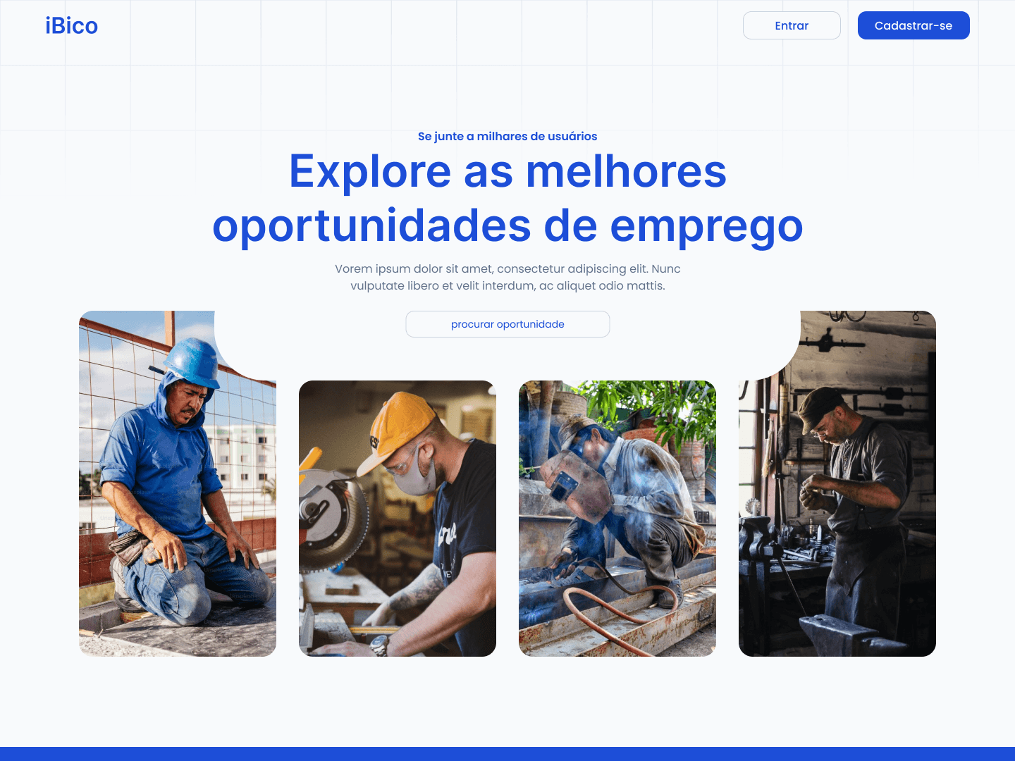 ibico project